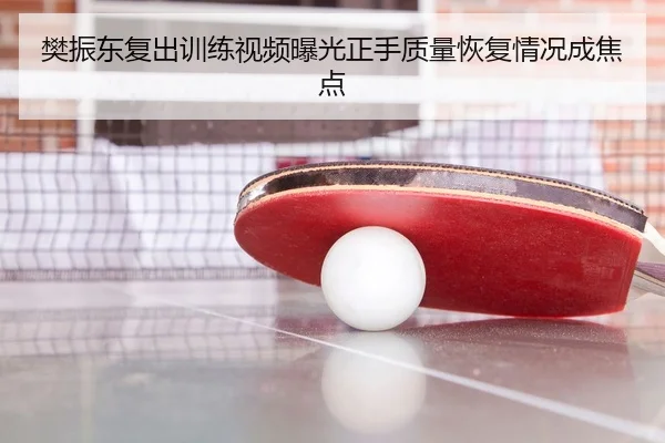 樊振东复出训练视频曝光正手质量恢复情况成焦点