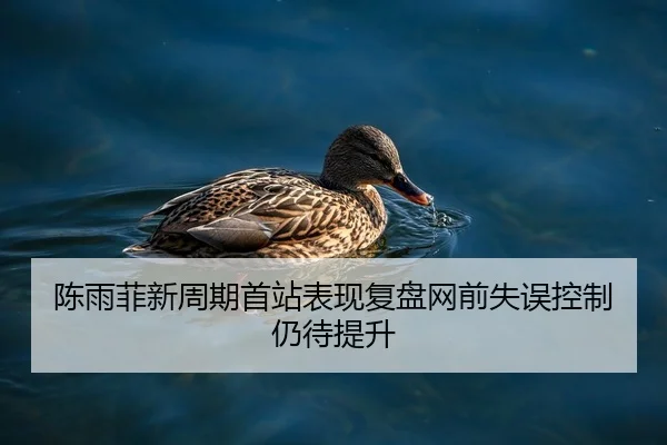 陈雨菲新周期首站表现复盘网前失误控制仍待提升